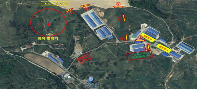 한우 300여 마리, 대관령 초원 나들이