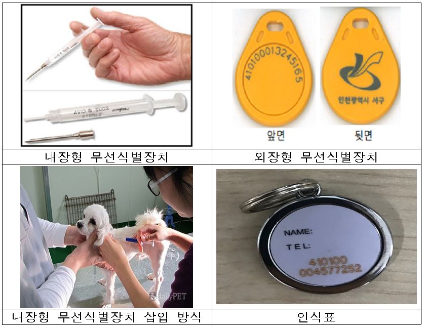 동물등록 방식 보완 등 제도개선으로 동물등록제 실효성 강화