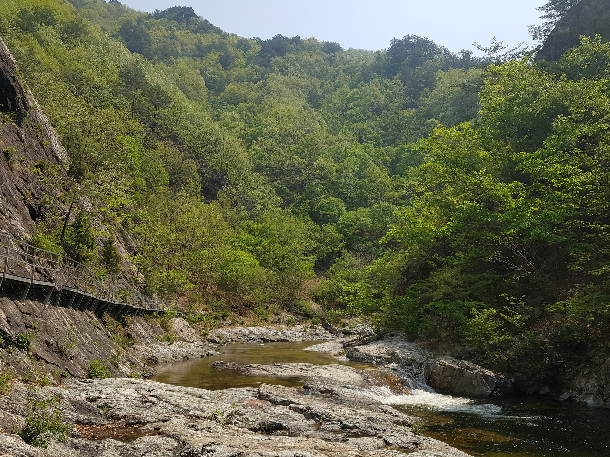 산림의 보존 가치가 높은 국가산림문화자산 신규 지정