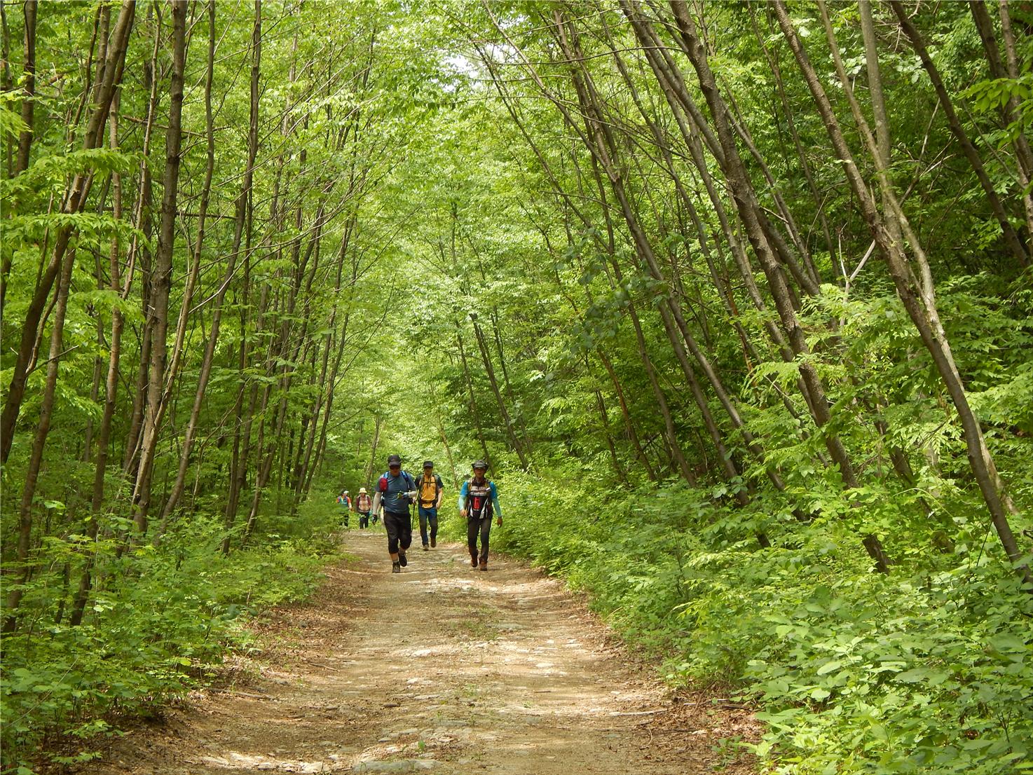 숲길에 산악오토바이 등 차마 진입 제한 제도 마련